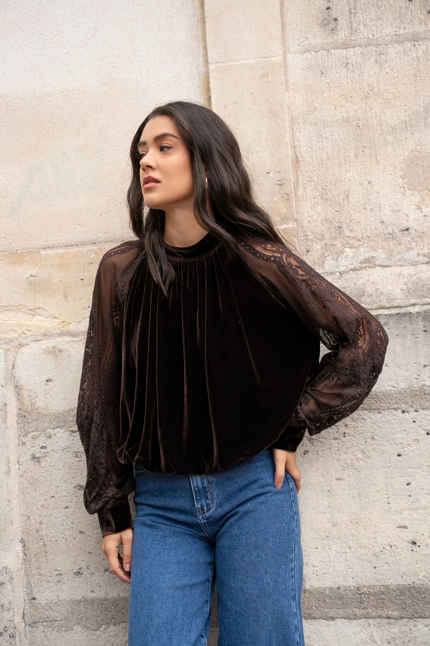 Camisa terciopelo con bordado en Manga marrón